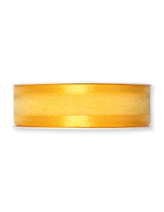 NASTRO ORGANZA BORDATO IN RASO 2,5CM 1104-025