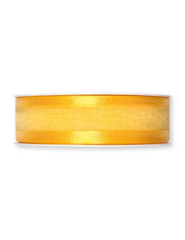 NASTRO ORGANZA BORDATO IN RASO 2,5CM 1104-025