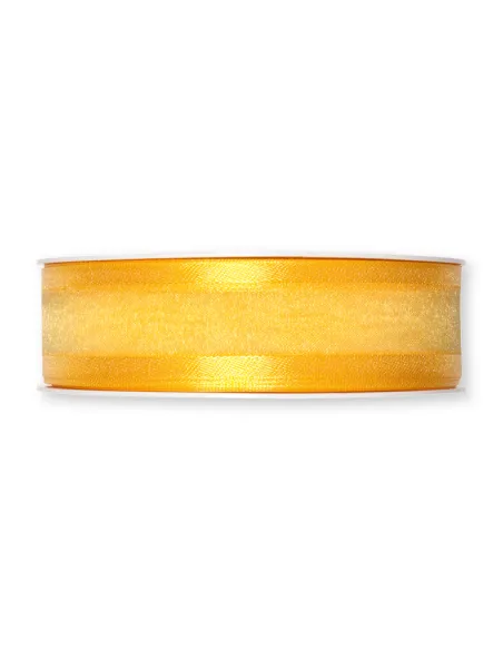 NASTRO ORGANZA BORDATO IN RASO 2,5CM 1104-025