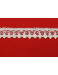 Pizzo Rebrodè 3CM 11104