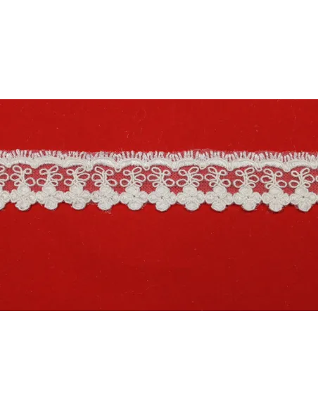 Pizzo Rebrodè 3CM 11104