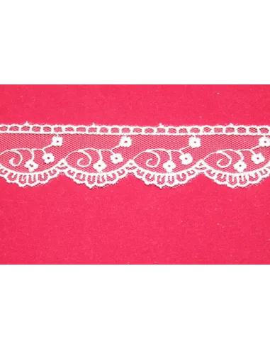 PIZZO TULLE 2,5CM 1562