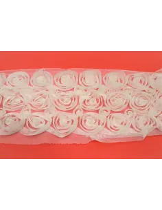 PASSAMANERIA MODA ROSE 12 CM 19RIB003