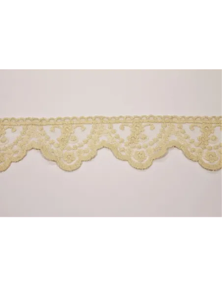 PIZZO TULLE 6 CM BB8154-6
