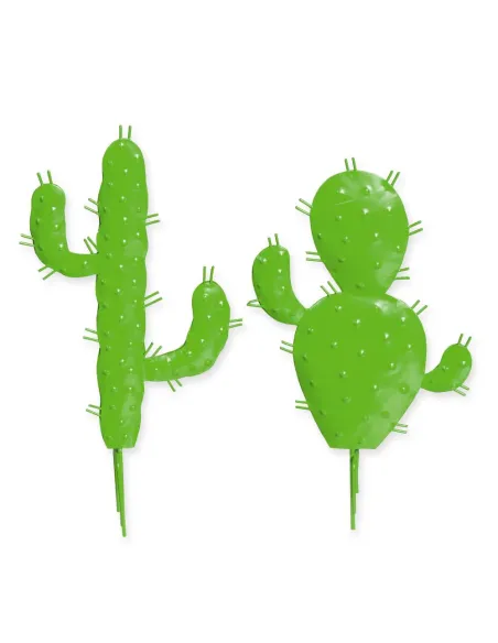 APPLICAZIONI CACTUS 22566