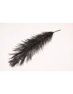 PIUME DI STRUZZO FEATHER