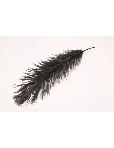PIUME DI STRUZZO FEATHER