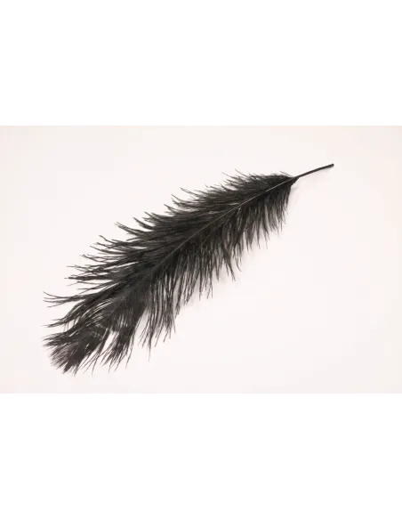 PIUME DI STRUZZO FEATHER