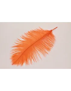 PIUME DI STRUZZO FEATHER