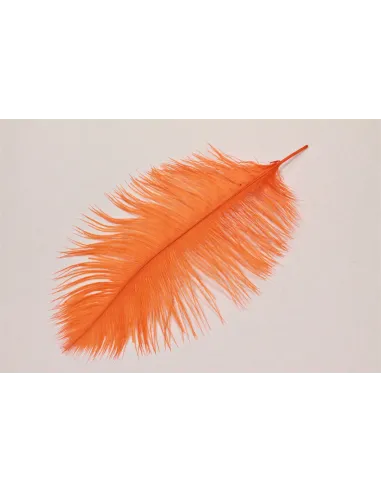 PIUME DI STRUZZO FEATHER