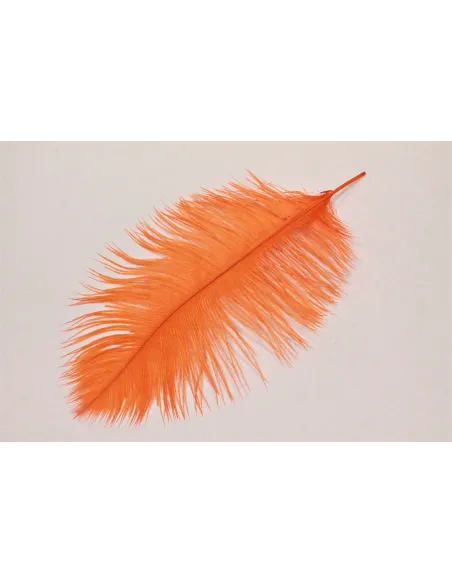 PIUME DI STRUZZO FEATHER