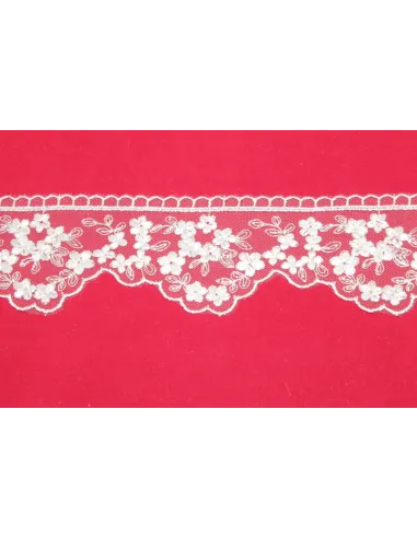 Pizzo Tulle 6 cm 3406