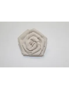 APPLICAZIONE ROSA 41174.0001