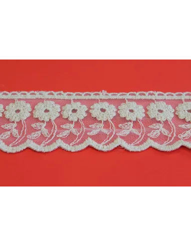 PIZZO TULLE 6CM H4006-6