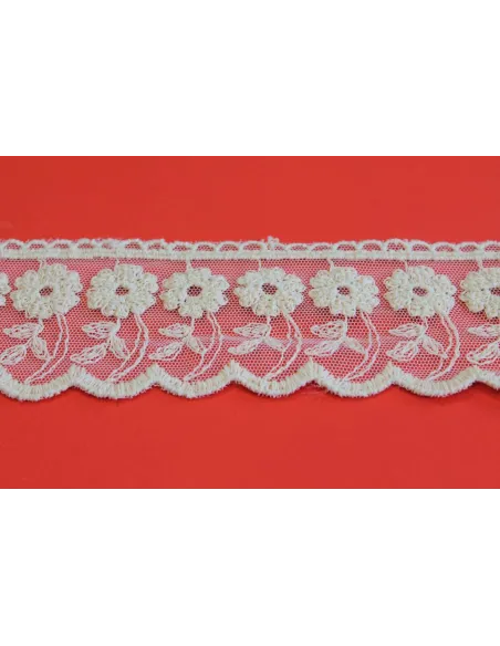 PIZZO TULLE 6CM H4006-6