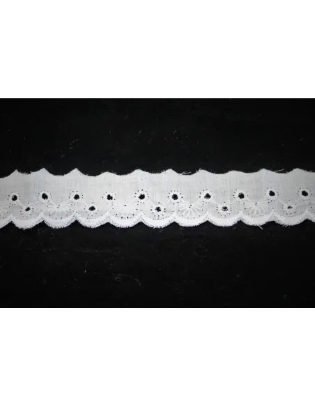 PIZZO SAN GALLO 2.5 CM 41676