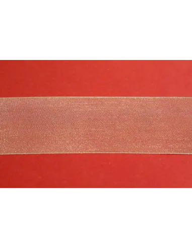 NASTRO ORGANZA 25MM N4525