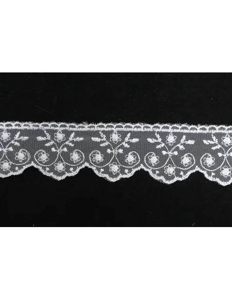 PIZZO TULLE 5 CM BB8279-5