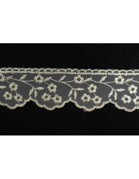PIZZO TULLE 5 CM BB8280-5