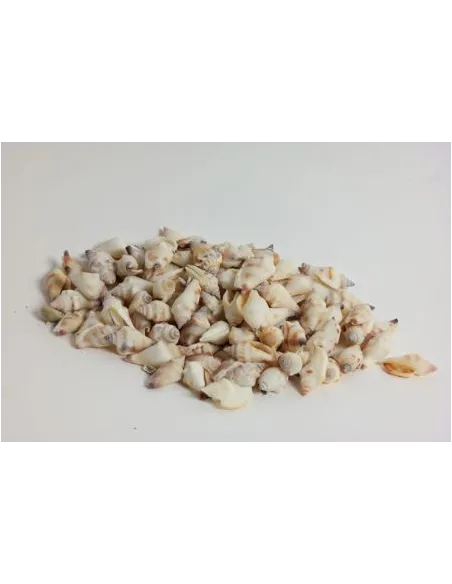 MINI CONCHIGLIE 450250000