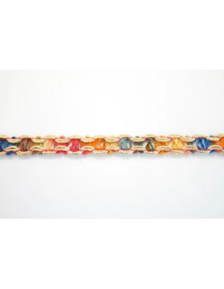 PASSAMANERIA MULTICOLOR 1CM 2068
