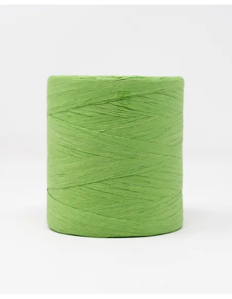RAFIA ROCCA DA 200 GR R600