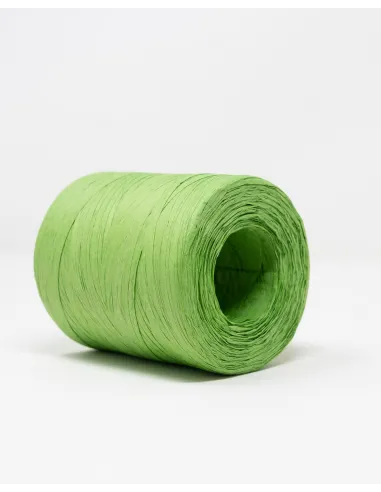 RAFIA ROCCA DA 200 GR R600