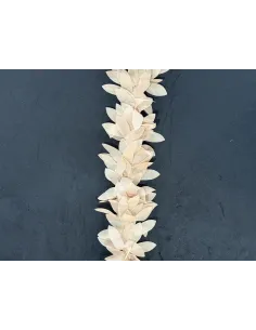 PASSAMANERIA MODA FOGLIE FLOWERS-L 2