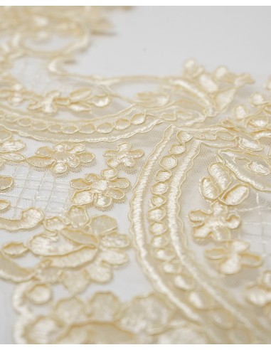 Pizzo Rebrodè 25cm 001